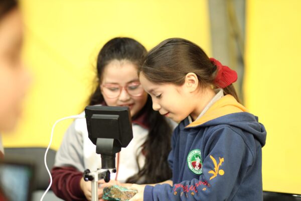 Participantes observando una muestra con un microscopio digital